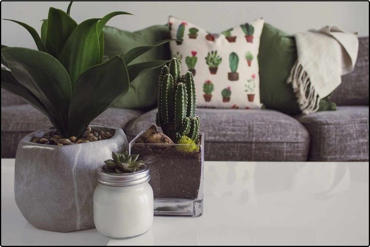 Stylish living area featuring a cozy sofa with decorative pillows, a coffee table with various indoor plants.